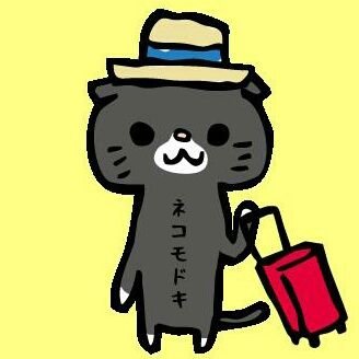 ネコモドキ…？