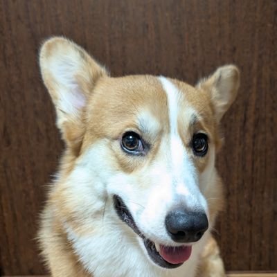 りゅーげん