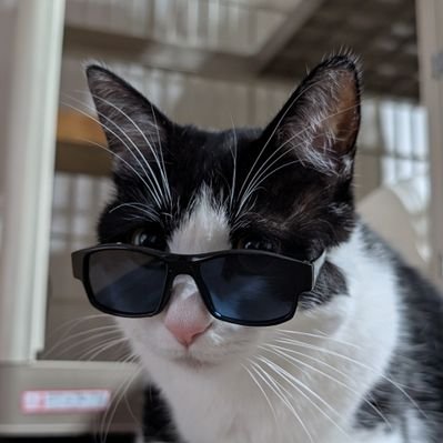 リュウナイト♘