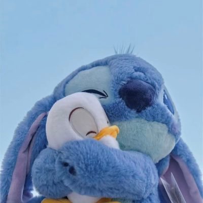 🐰