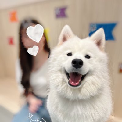 𝕊𝕒𝕒𝕪𝕒🐯