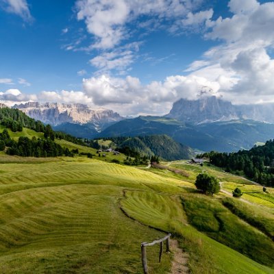 塩バターロール