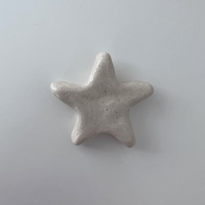 𝘮𝘰𝘯𝘪𝘱𝘪