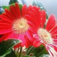 sahita🐰みのえ💎