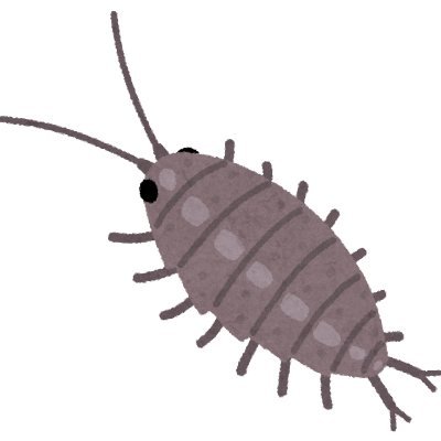 😷安間サイ💉x6