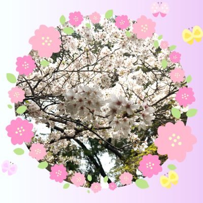 🌸桜(さくら)@Besty💟Muze