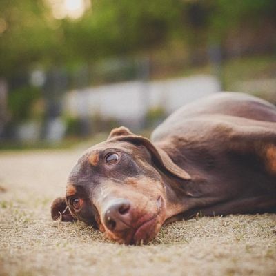 saocciiiiiii03🐰GOLDEN 👑