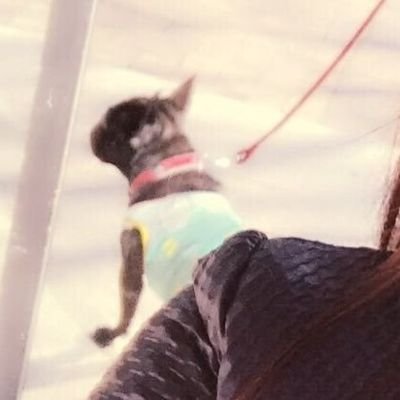 佐々木ちゃん💜🦄 🐰🌸🤍 ⚖