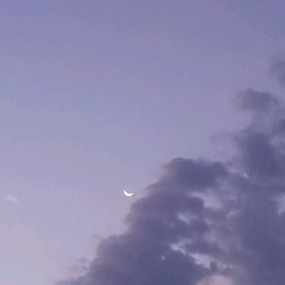 ささまき