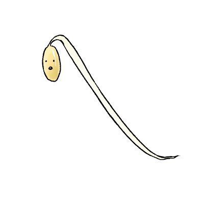 さとるんるん♪