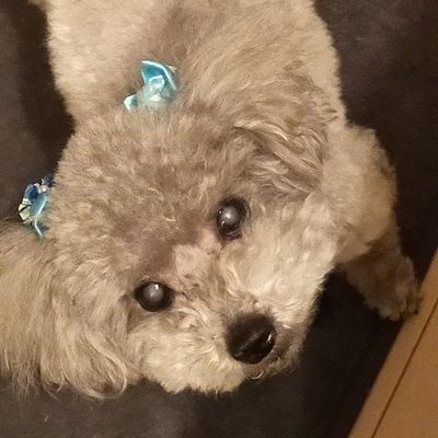 satococo👶🌊🏝️