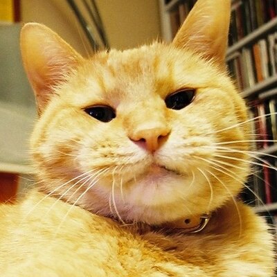 岩瀬 聡 Satoshi Iwase