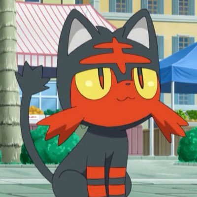 🐈‍⬛