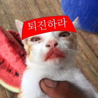 시럽