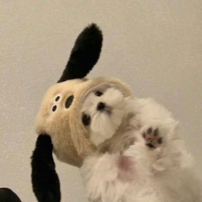 ☆.*ﾟ•*¨*•.¸