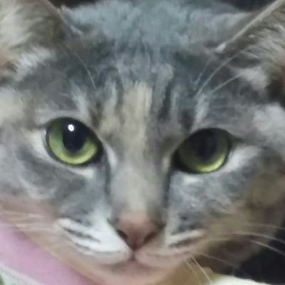 テツハル