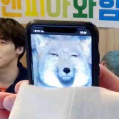 すんすんすん🌛🧀