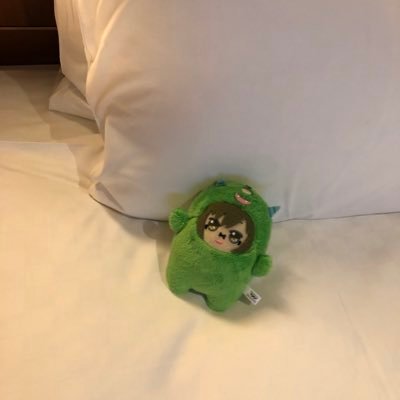 🌰🌰しか🐿️🐿️