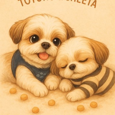 しーたパパ🐶🐾🦴🍖💨