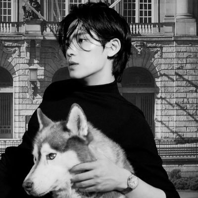 🐶ぎゅ@Shimy🐶