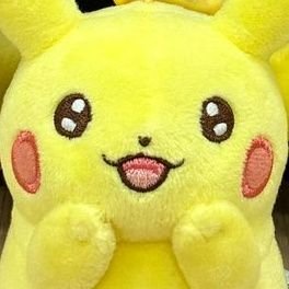 しなぴ🐤