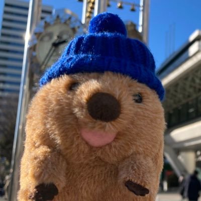 じょろすこ＠ワラビーの者