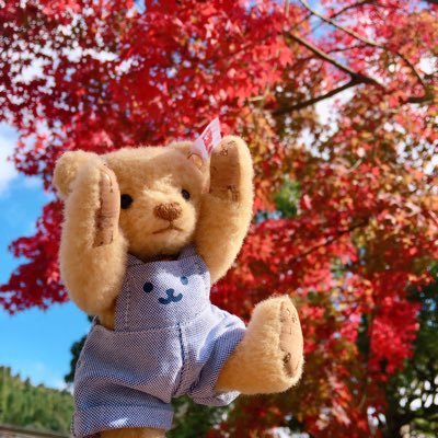 しりり村長