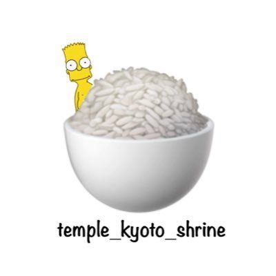 白ごはん美味しい