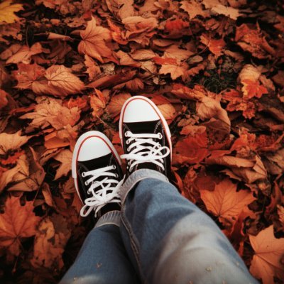 趣味垢｜フォロバ