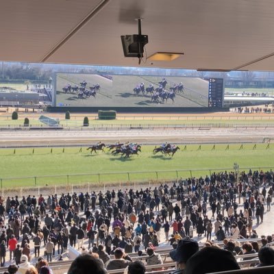 シグ@中央競馬　馬場隊列予想