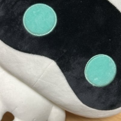 新新ちょき