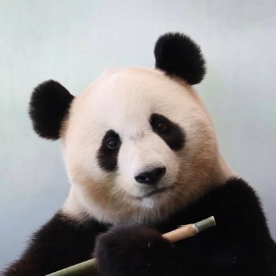 kumi:)