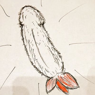 ⛩遊月 奈喩多⛩＠Alicephilia広報・なろう&エブリスタ、ノベプラ