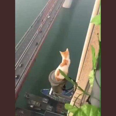 ごっち＠それだけでしあわせ