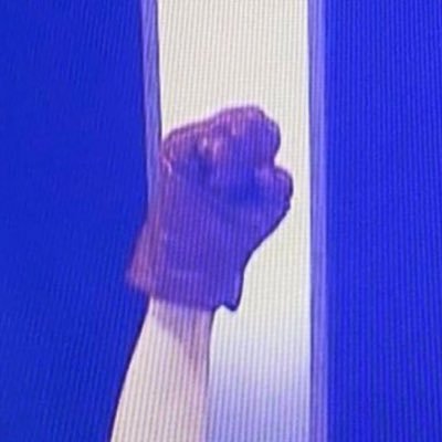 山のわかめ