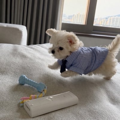 かびるんるん🍋18日19日2部参戦します。