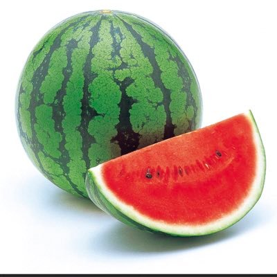 スイカのスロット屋🍉(suica編)