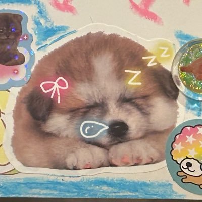 〈 ﹏⦿ ›› ∋ )≪