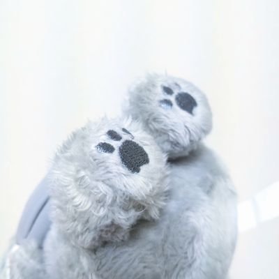 チュララのにくきゅう