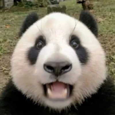 すなぎも🌽🎸