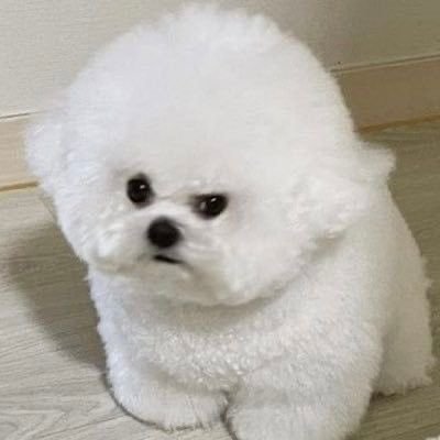 ゆかぽ@共同購入 取引アカウント