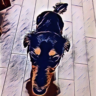 superワンワンくん