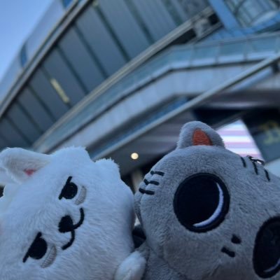 あっさん🐶🦴