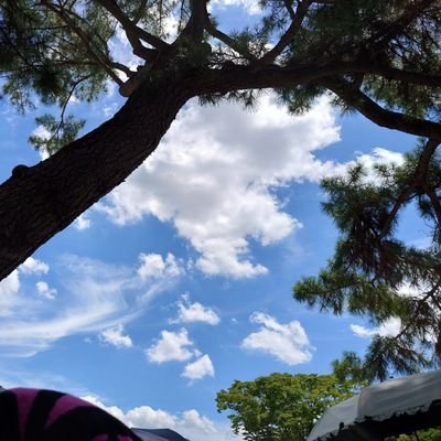 チャンセバタン・スズ🌱🎤🥟🐣🍡