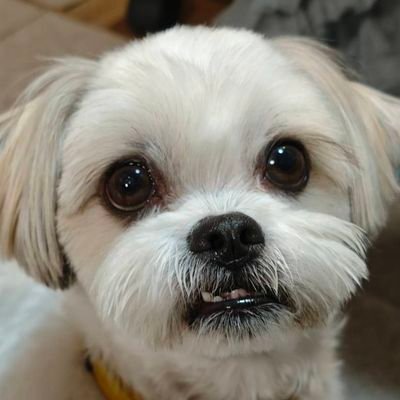 ナチャールさん