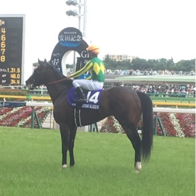 うまシステム🐴🖥