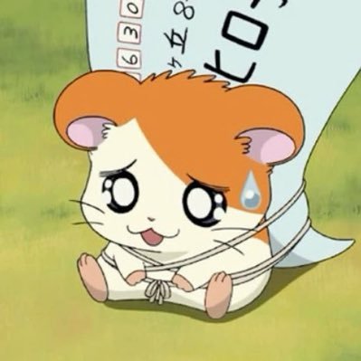 朴