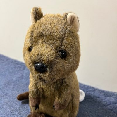 chipota