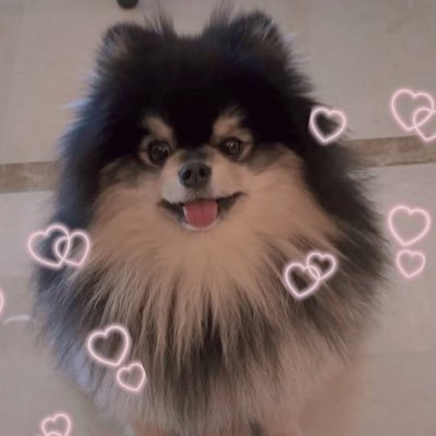 ♡ tirol ᴸᴬʸᴼ⁽ ꪜ ⁾ᴱᴿ テテ 보라해 ♡