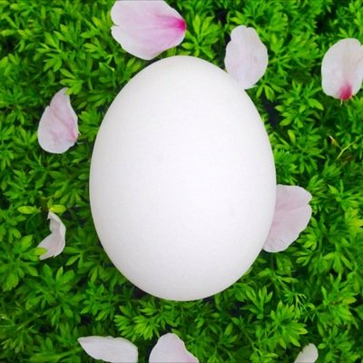 愛を諦めないますとん